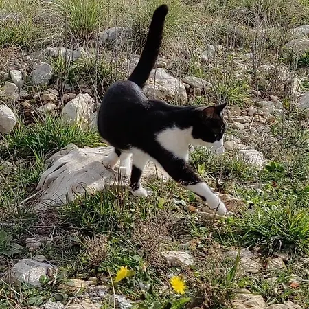 Adriana * Zadar